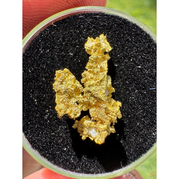 California Native Gold Crystal -  0.93 grams - Picture 4 of 5